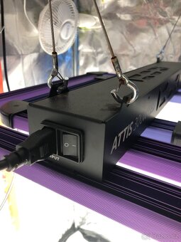 Growbox - 4