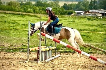 Pony kobylka 121 cm - 4