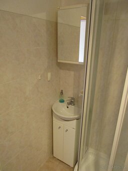 Pronájem bytu 1 + 0 (garsoniéra 23 m2) - 4