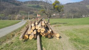 Stavební dřevo - 4