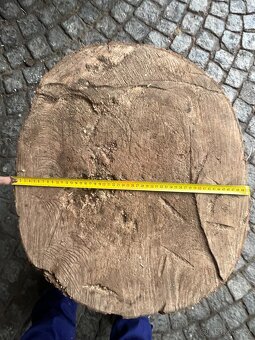 Prodám 2 ks masivních dřevěných špalků - 4