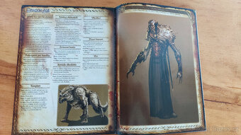 Dragon Age Prameny: Oficiální průvodce hrou - 4