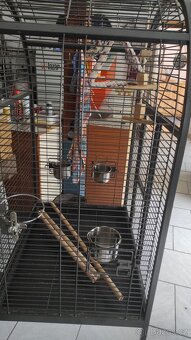 Klec voliera na velkého papouška - 4