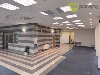 Pronájem obchodního prostoru 170 m² - 4