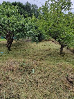Prodam zahradu v kolonii Bazantnice v Marianskych Laznich - 4