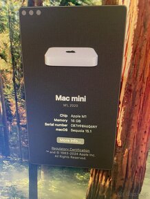 Mac Mini M1 16GB RAM Magic Mouse 2 Magic Keyboard - 4