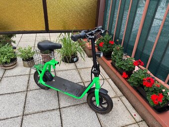 Elektricka kolobezka X-scooters XS01 36V Li - 500W - 4