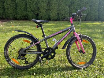 Author Cosmic 20” - 4