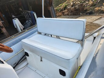 Rib člun Valliant 450, 5-60 hp motor, vlek - 4