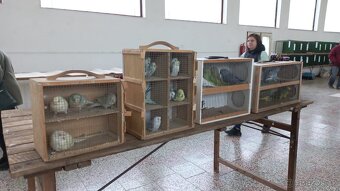 Trhy Slavkov u Brna - 4