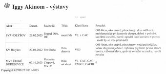 Drsnosrstý jezevčík - 4