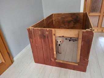 Ohrádka/porodní box pro štěňata - 4
