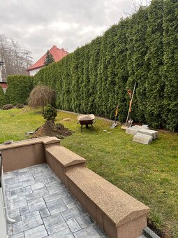 Prodám nádherné thuje Smaragd - 4