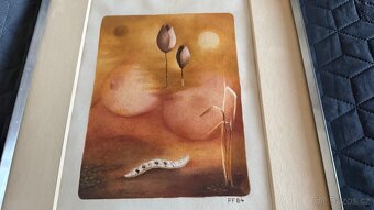 Starý tisk, litografie,? - 4