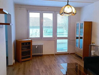 Pronájem 2+1 Čéčova, České Budějovice - 4