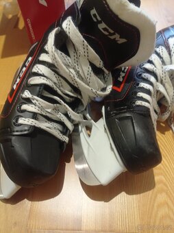 Brusle CCM vel.35 - 4