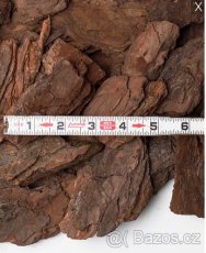 Piniová Kůra ( Pine Bark ) - 4