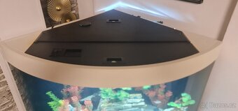 Rohové akvarium 190 L - 4