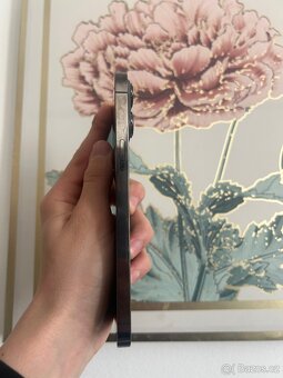 IPhone 13 Pro Max (256gb) - 4