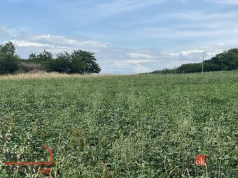 Prodej, pozemky/bydlení, 788 m2, Hustopeče, Břeclav [ID 7392 - 4