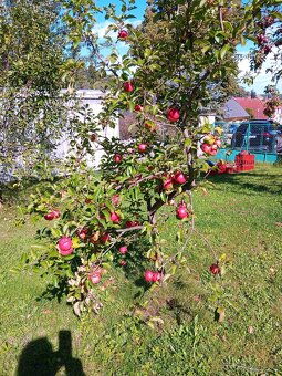 Prodám stavební parcelu - 4