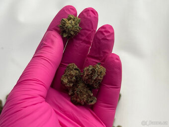 CBD sušené květy - 4