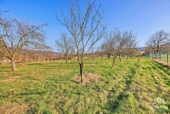 Prodej pozemku 1000 m² Pitín , Bojkovice - 4