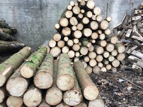 Palivové dřevo Měkké - Jehličnaté - 4