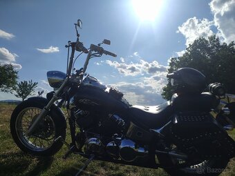 Yamaha XVS 650 dragstar custom Black horse. - 4