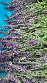 Sušená levandule - 4