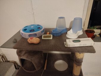 Sada pro koťátko - 4