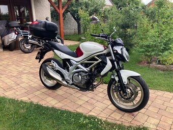 Suzuki SFV 650 Gladius - 4