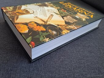 Domácí přírodní lékárna - Jadwiga Górnicka - 4