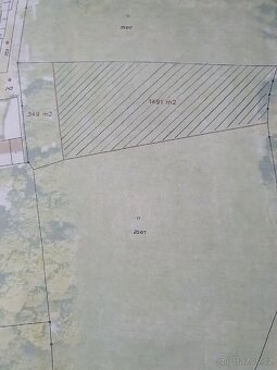 Prodám louku 5800m2 - 4