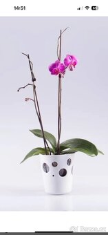 OBAL NA KVĚTINÁČE - 4