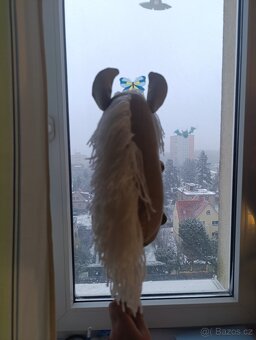 Hobby horse - 4