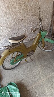 Jawetta 551 - 4