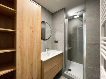 Pronájem, byt 2+1, balkon, 51 m2, po celkové rekonstrukci, P - 4