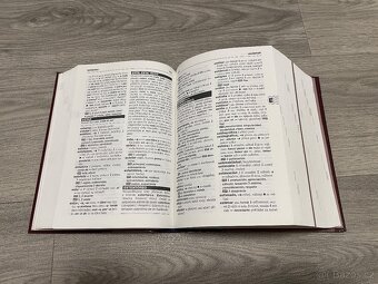 Špaňelsko-český a česko-španělský slovník - 4