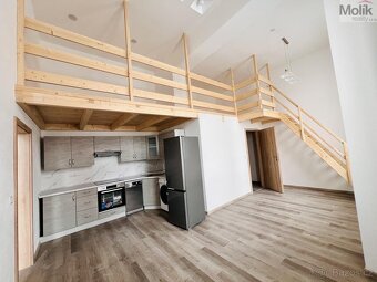 Pronájem bytu 2+kk 60 m2 - 4