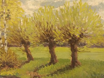 Obraz Petr Rýdlo, Jaroměř, olej 46x55 - 4