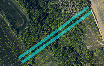 Prodej pozemků o výměre 4 459 m2 v obci Traplice - 4