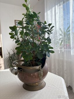 Měděná nádoba - 4
