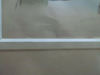 Starožitné Ručně Kolorované Litografie CHEZ AUBERT cca 1830 - 4