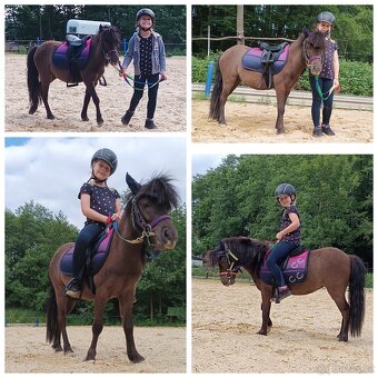 Shetty sedlo, podsedlová dečka, madla - 4