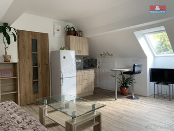 Pronájem bytu 1+kk, 24 m², Bratrušov - 4