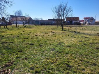 Prodej stavebního pozemku 2100 m2, Vesce u Morav. Budějovic - 4