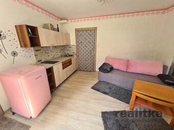 Pronájem hezkého, zařízeného bytu se zahradou 1+kk, Opava, u - 4