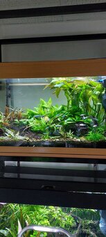 Prodám stojan se 2 akva Juwel Rio 125l a 2x OASE 250 filtr - 4