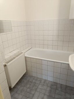 Pronájem bytu 1+1 - 4